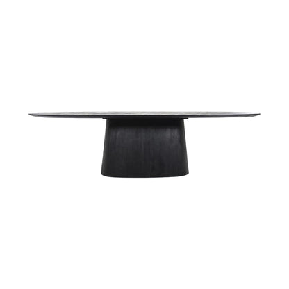 Aron oval 300×110 cm