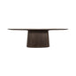 Aron oval 250×110 cm