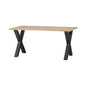 Combi-Tablo & Alkmaar leg 160 x 90 cm