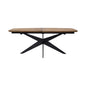 Falcon Crest Oval Extendable 200/300 x 105 cm