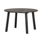 Lange Jan extendable