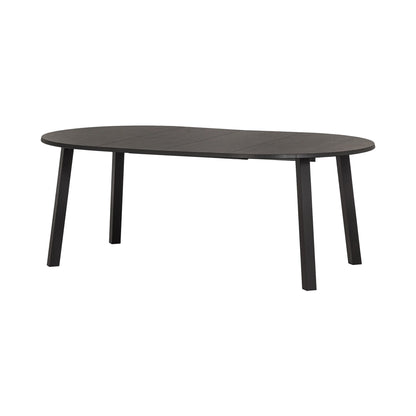 Lange Jan extendable